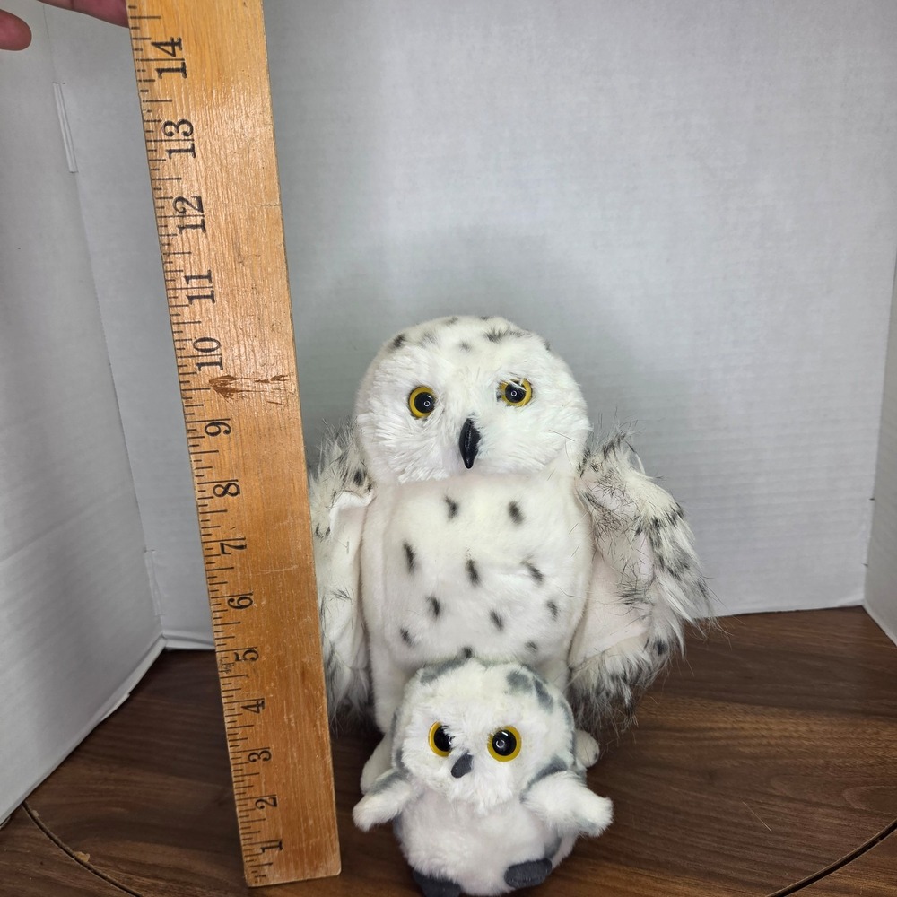 Douglas Owl with non Douglas Baby Owl